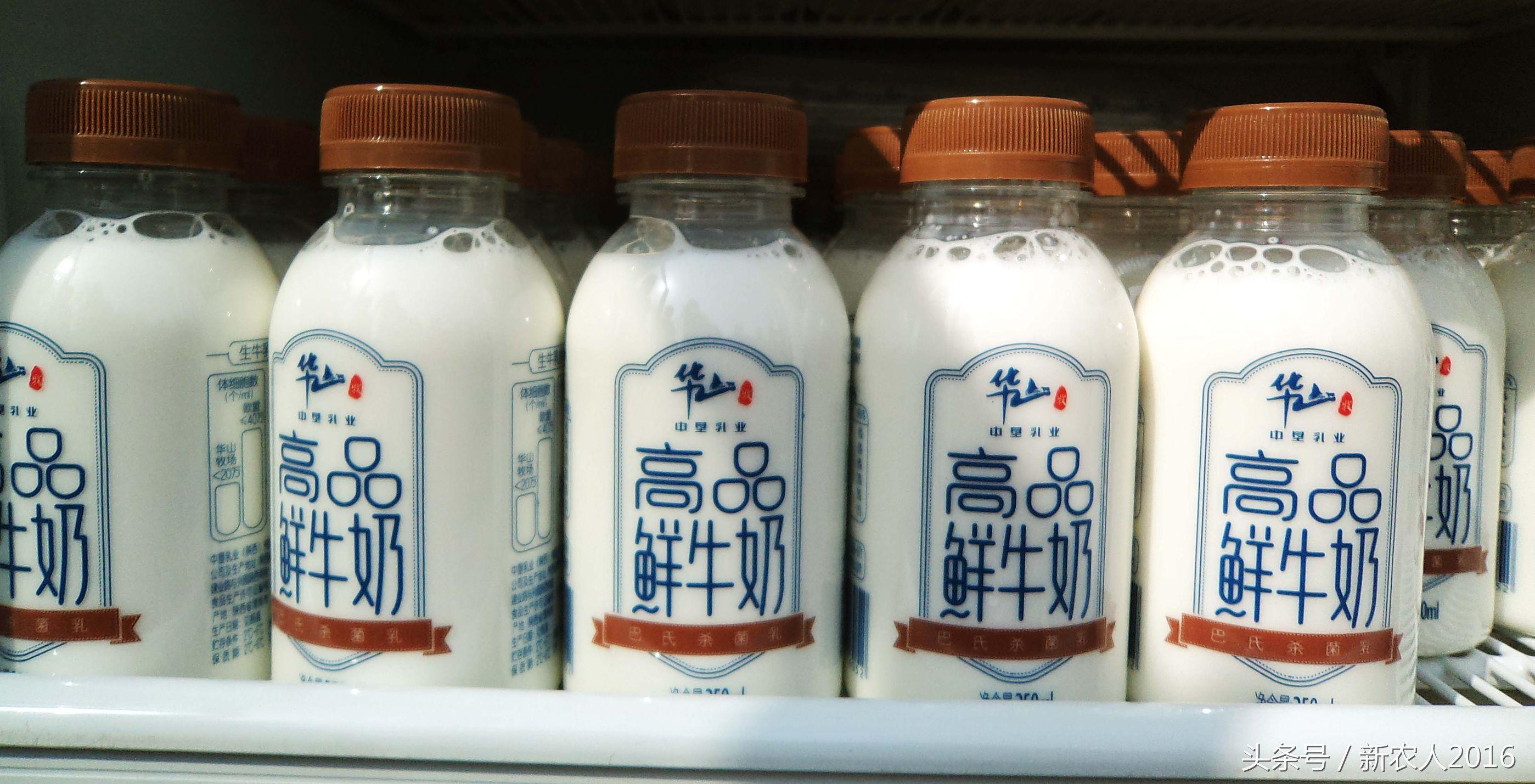 中垦乳业陕西30万吨高端乳制品加工基地投产仪式在渭南举行